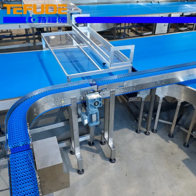 Sorting Line Detail 2