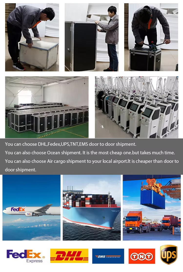 Shipping Options