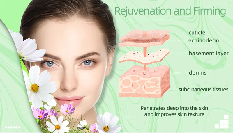 Cell Light Hair Removal Machine Detail