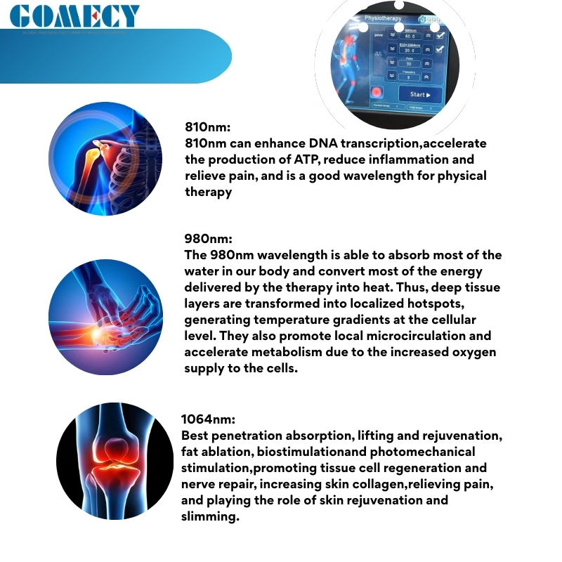 Professional Class IV Laser Therapy Device 810nm 980nm 1064nm Multi-Wavelength System for Pain Inflammation Recovery
