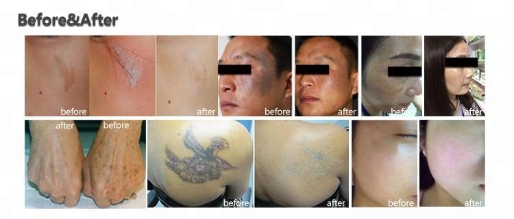 Application Result 2