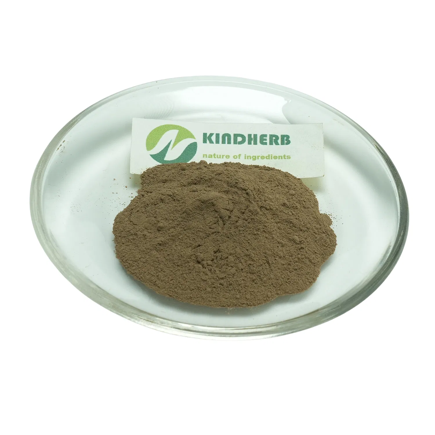 Concentrado Herbal Botânico Extrato de Cnicus Benedictus