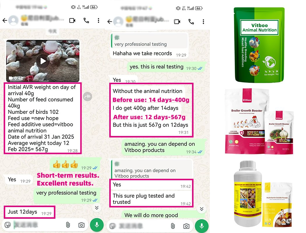 Gado Aves Ovinos Vitamina Aminoácido Aditivo Alimentar Animal Crescimento Rápido