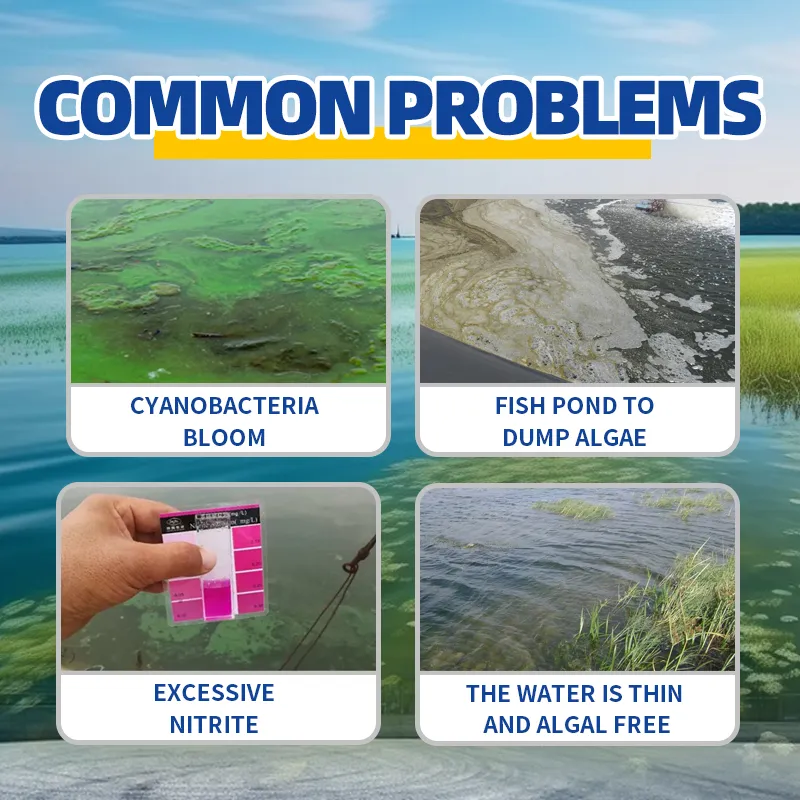 Aplicação em Aquicultura