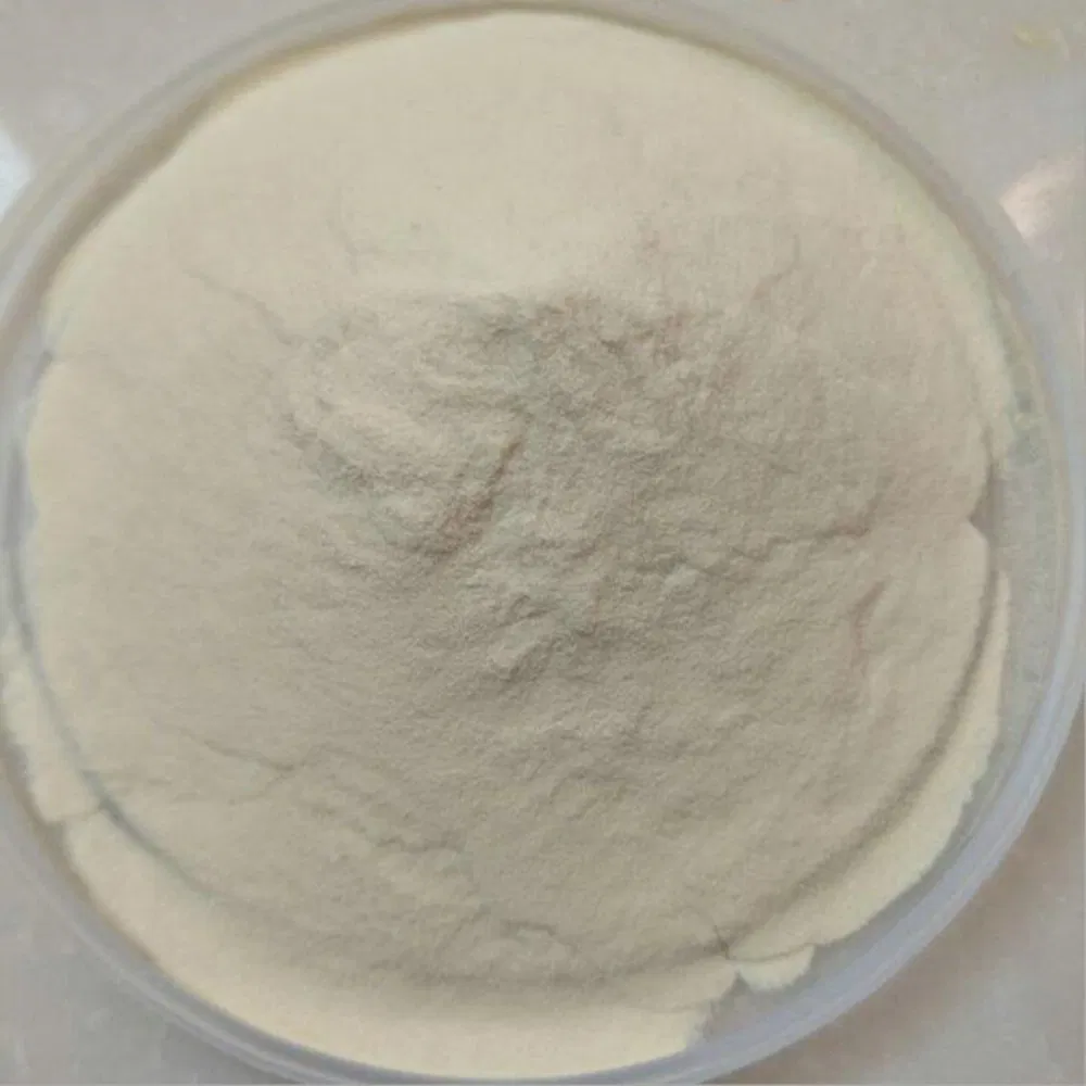 Pó de goma xantana transparente de melhor qualidade a granel, bom preço, grau 200 malha 80 malha para ingredientes alimentares, estabilizadores, espessantes