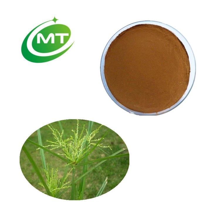 Amostra Grátis Orgânica Natural Pura Fornecimento de Fábrica Extrato de Planta Extrato de Cyperus Esculentus