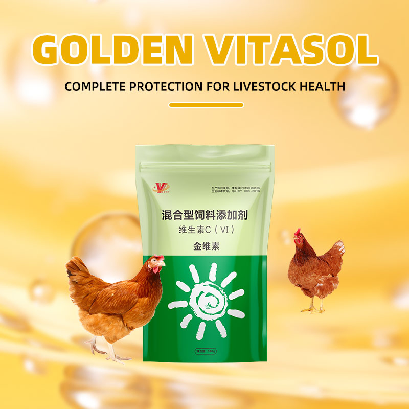 Suplemento vitamínico completo para ração de aves, aditivos para aumentar a imunidade e a produtividade