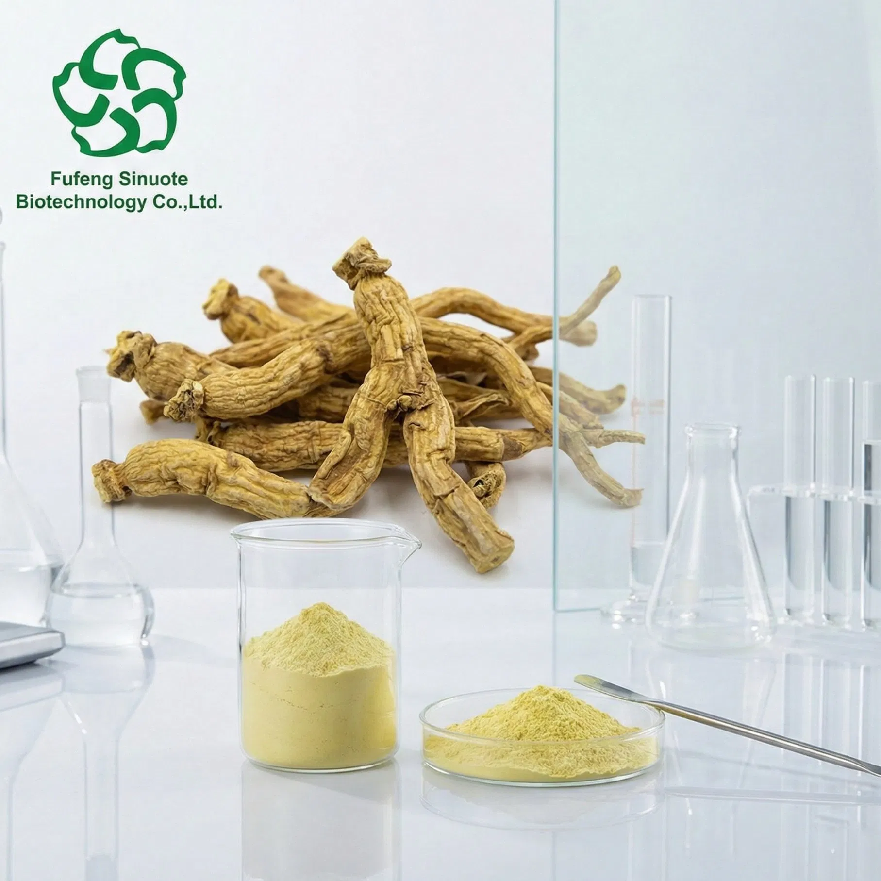 Extrato de Raiz de Scutellaria Baicalensis Pó de Baicalina (Padronizado 80% - 90% HPLC) Suporte Respiratório Natural e Ingrediente Calmante Cosmético
