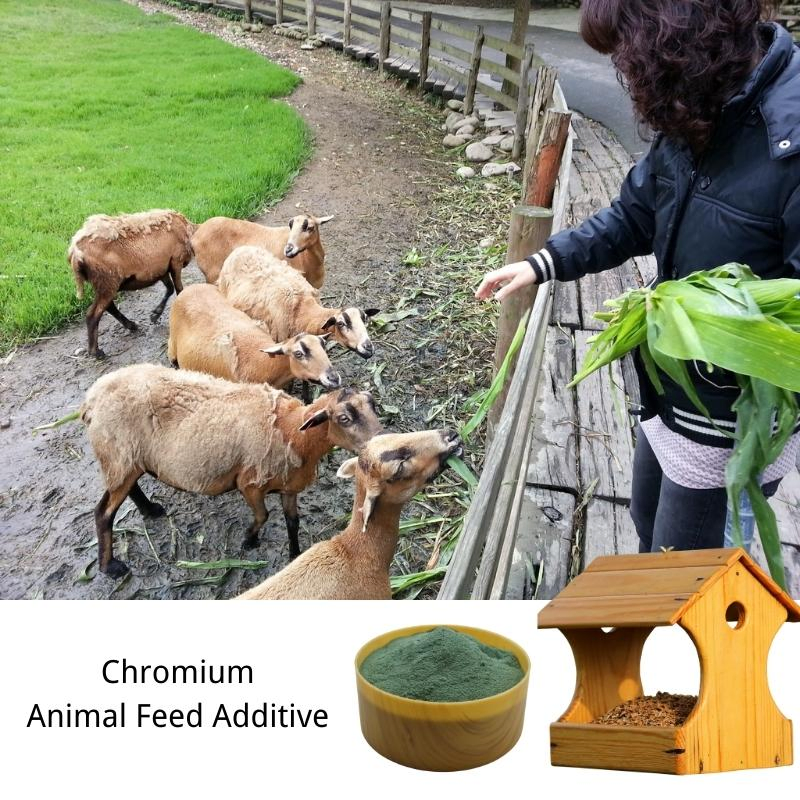 Quelato de Aminoácido Sal de Cromo Aditivo para Ração Animal Suína Aves