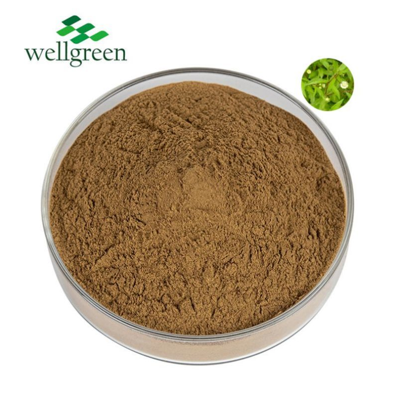 Essência Natural Concentrado Herbal Extrato Botânico Extrato de Planta