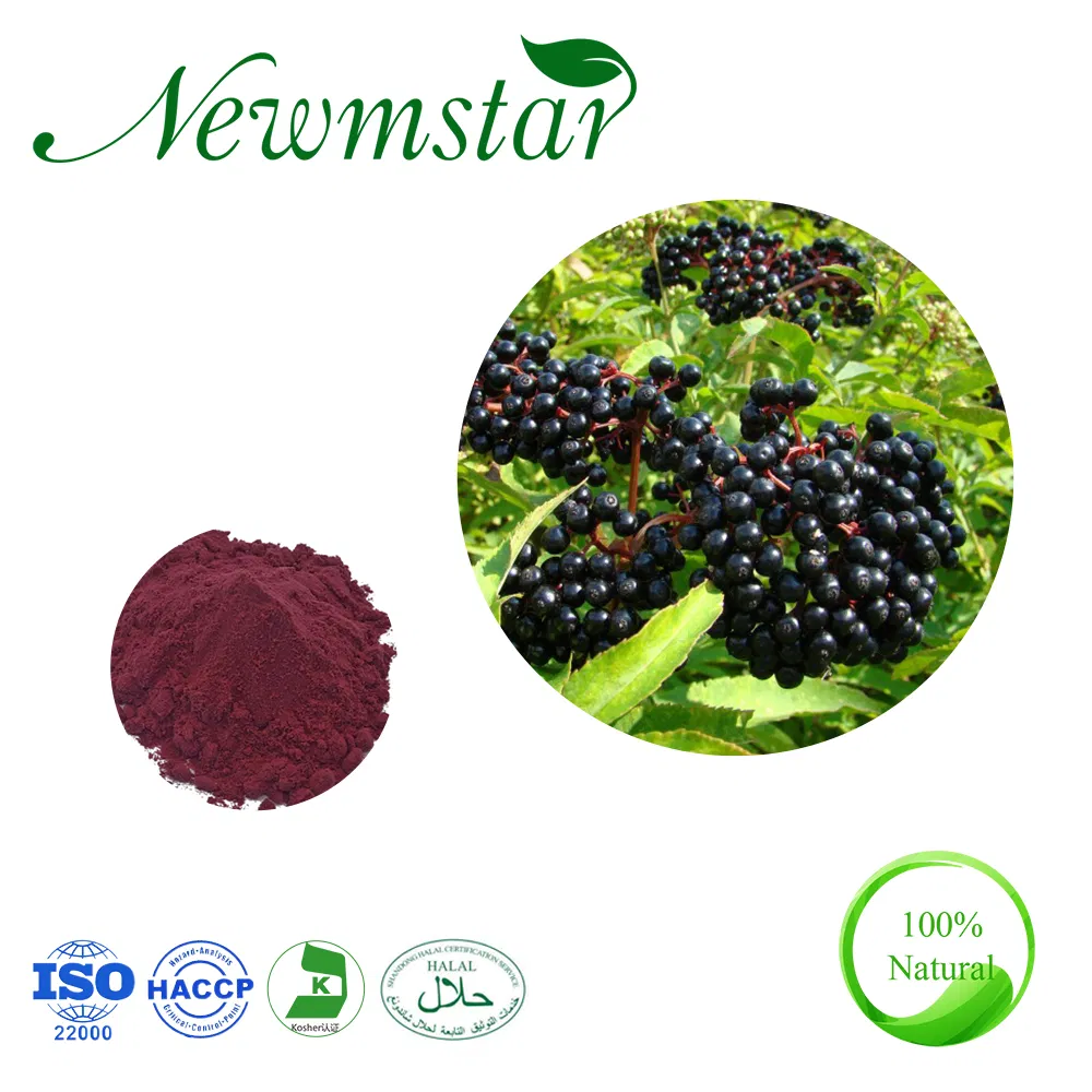 Cor do pó de Elderberry