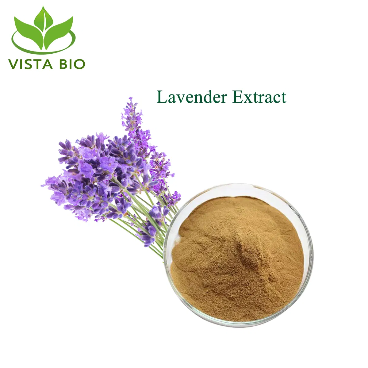 Extrato de Lavanda Pura Natural de Alta Qualidade da Planta Lavandula Angustifolia 4: 1-20: 1