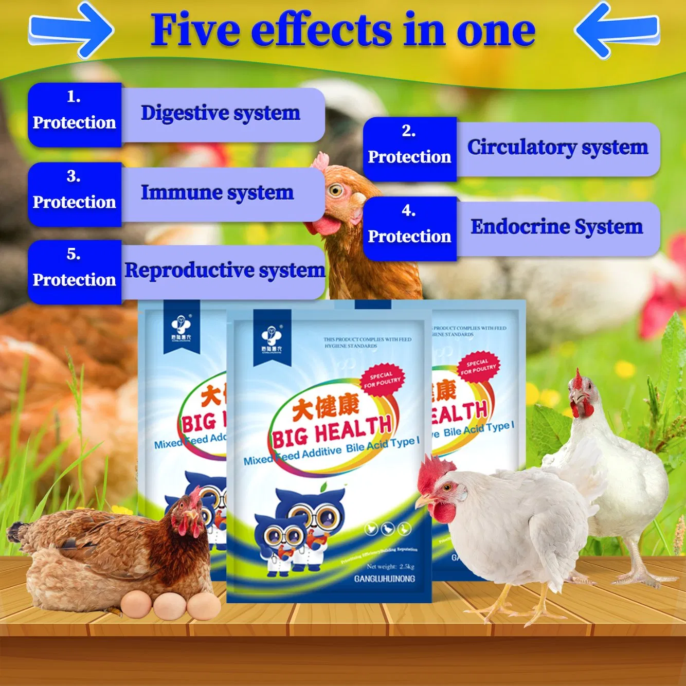 Material de Alimentação de Grau Fabrica Nova Metionina Lisina HCl Metionina Vitamina C Aminoácido Premix Animal Aditivos Alimentares para Poedeiras e Frangos de Corte