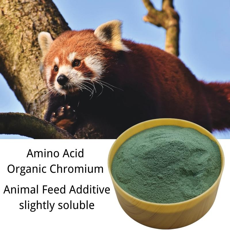 Quelato de Aminoácido de Cromo 8% Aditivo Alimentar Animal Picolinato de Cromo