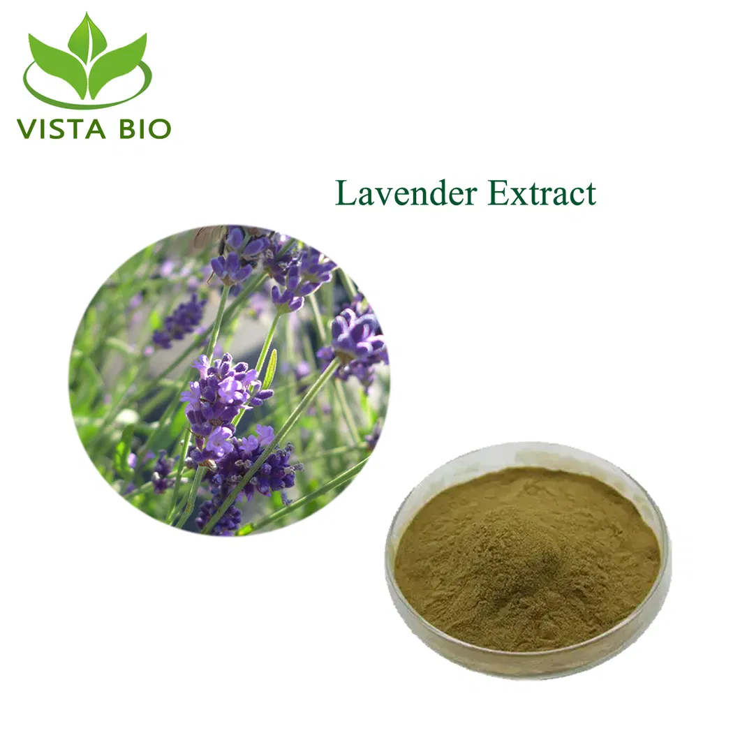Extrato de Lavanda Pura Natural