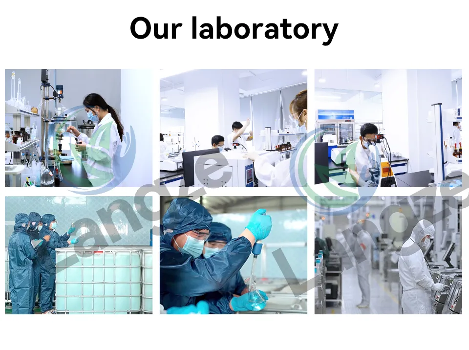 Laboratório