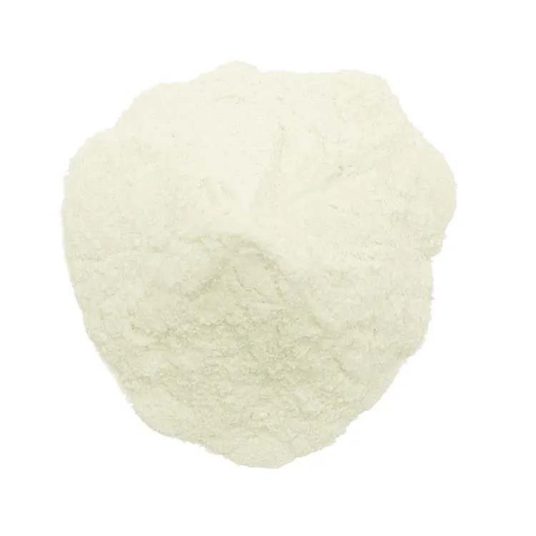 Goma xantana 1