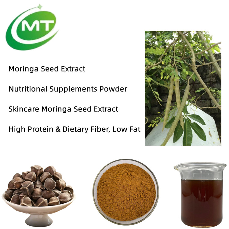 Cuidados Naturais para a Pele Extrato Botânico Extrato Herbal Antienvelhecimento Extrato de Planta Extrato de Semente de Moringa