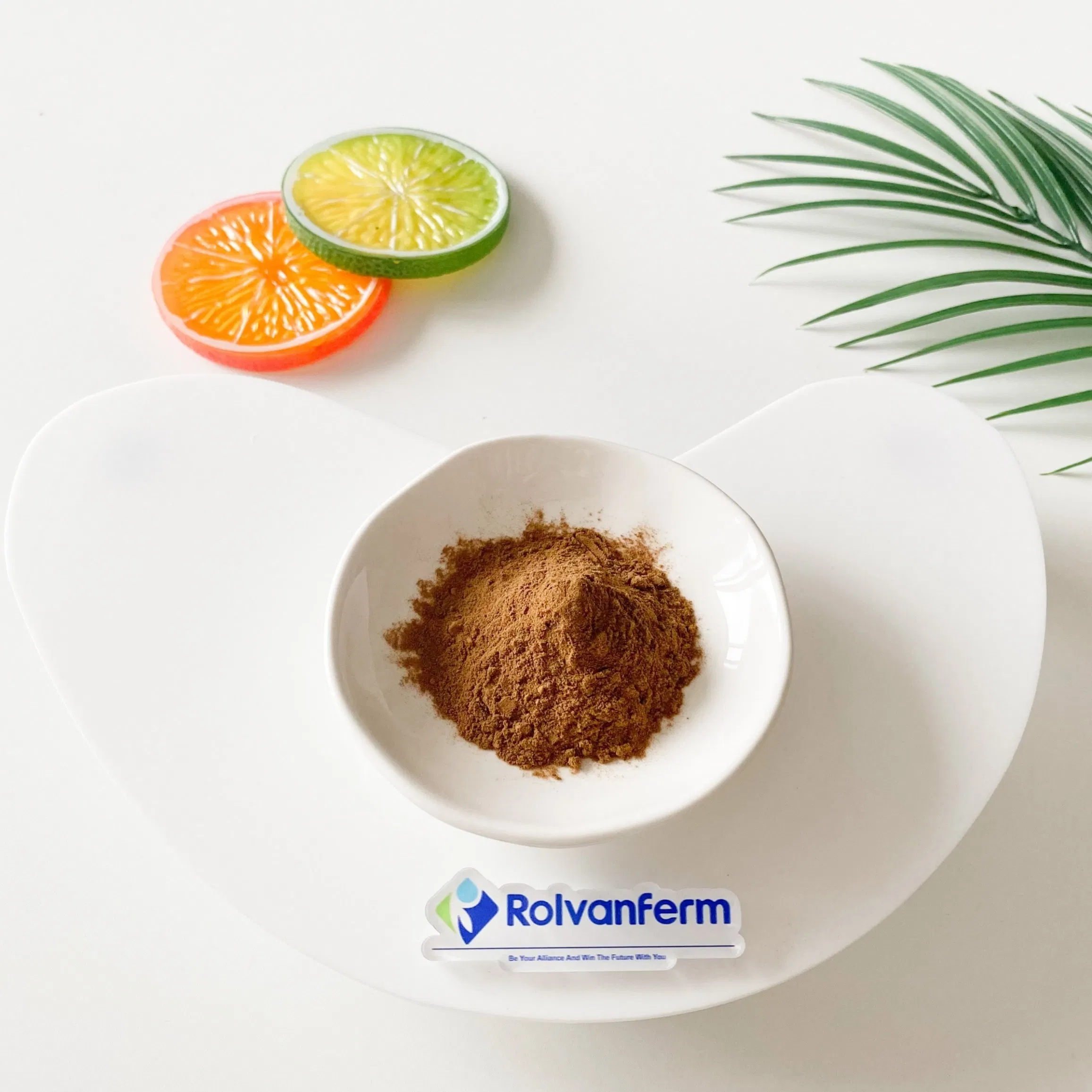 Extrato de Nothopanax Davidii, Extrato Botânico de Chá Liangwang para Alimentos Funcionais e Aplicações Herbais