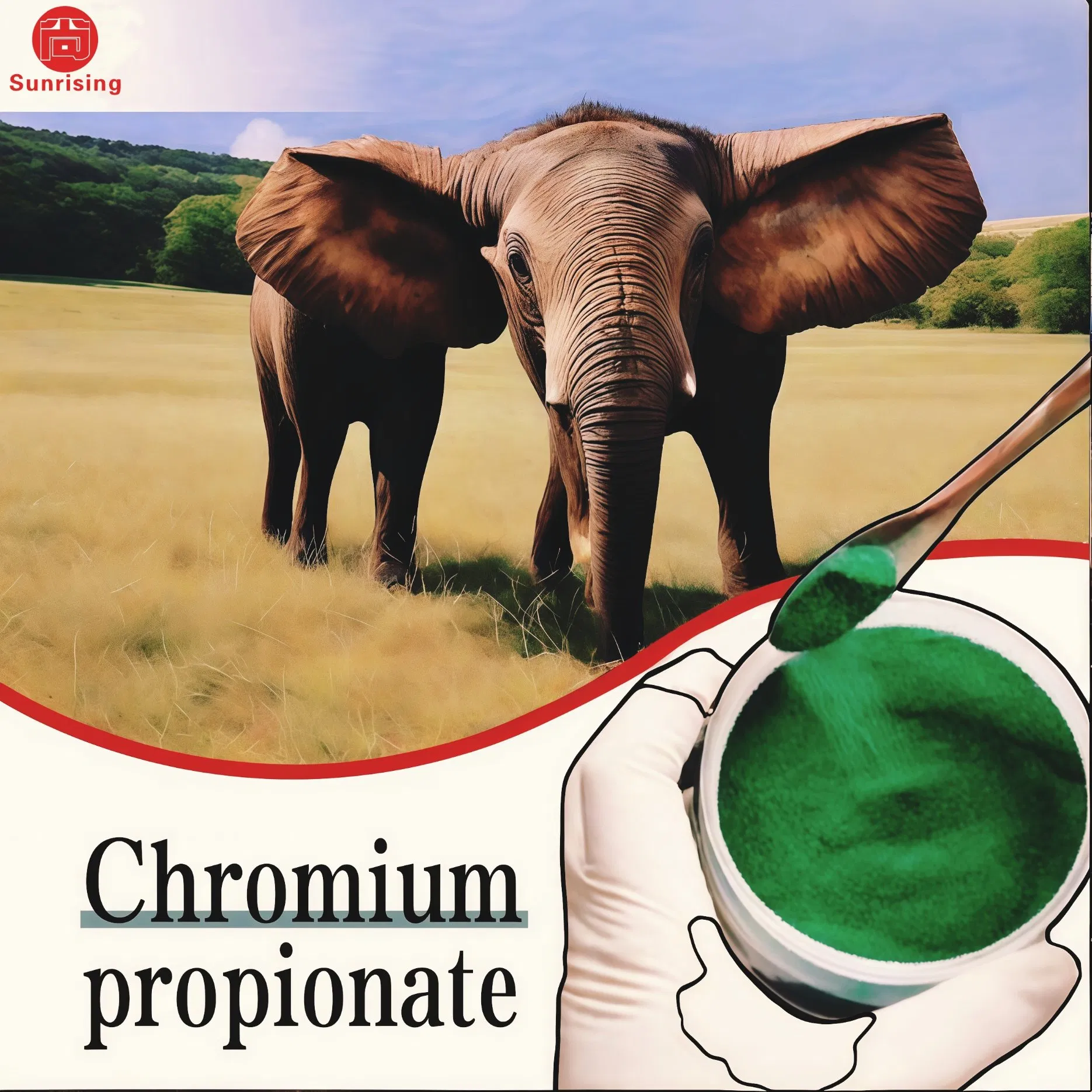 Fabricante de Fortificante Nutricional Profissional de Propionato de Cromo Aditivo Animal Alta Biodisponibilidade