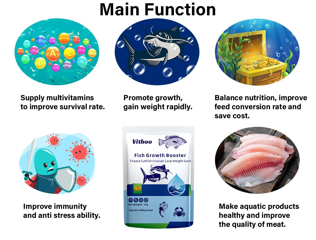 Aditivo Alimentar para Peixes Acelerador de Crescimento Ganho de Peso Alimento Vitboo Ração Animal