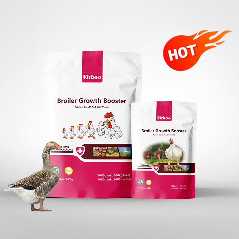 Suplemento vitamínico líquido para engorda de aves, solução oral, estimulador de crescimento para frangos