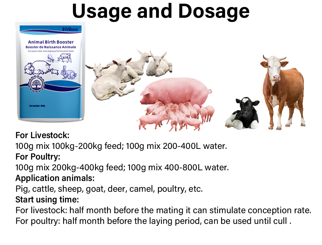 Aditivos Alimentares para Animais para Aumento de Nascimento Vitaminas Aminoácidos Aumentar Tamanho da Ninhada Melhorar Fertilidade para Porcos Gado Ovelhas