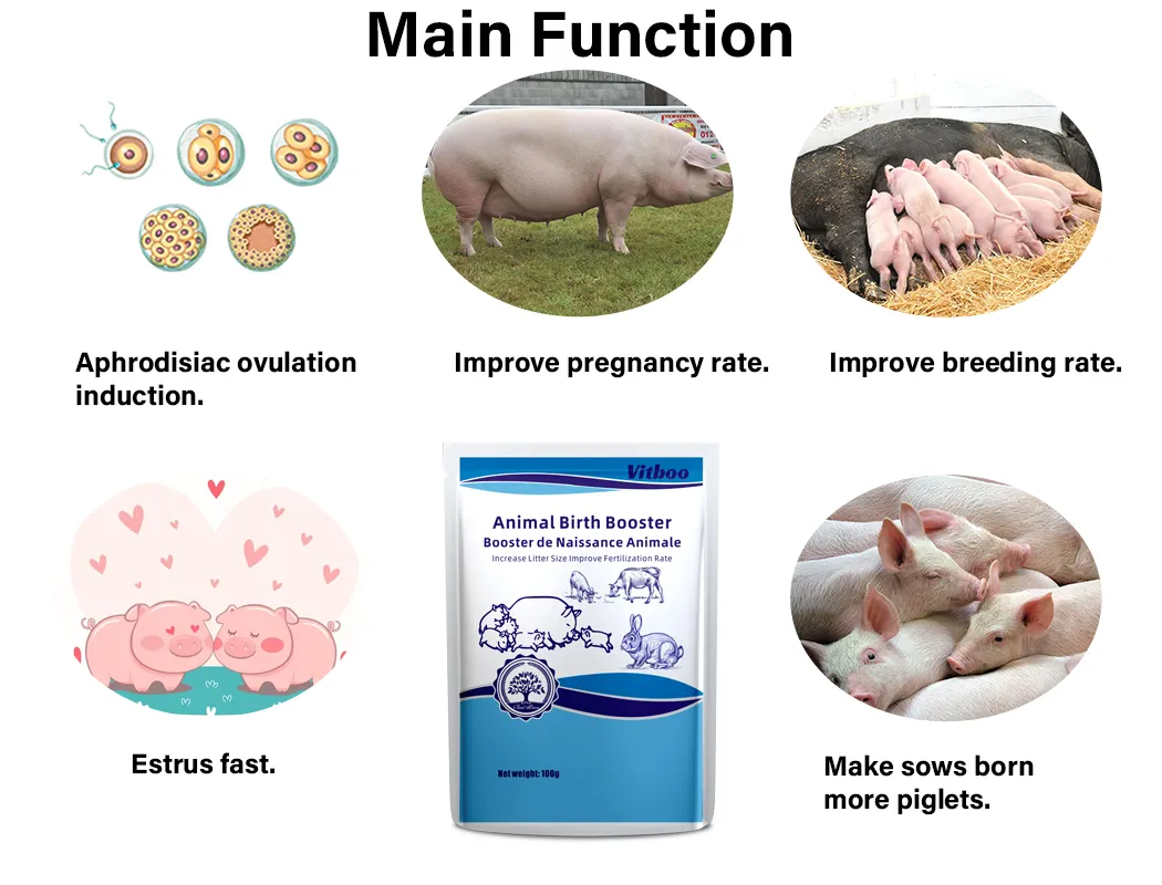 Nutrição Animal