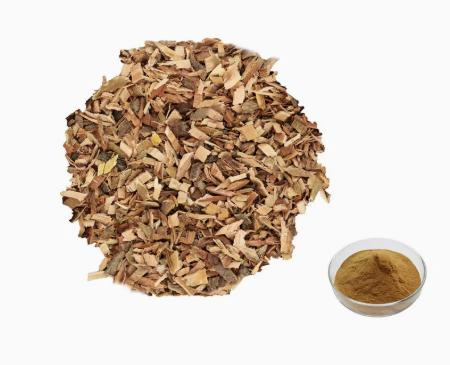 Fornecimento de Fábrica Extrato de Casca de Salgueiro Branco Salicina de Salgueiro 15%-50% Extrato em Pó de Planta Herbal