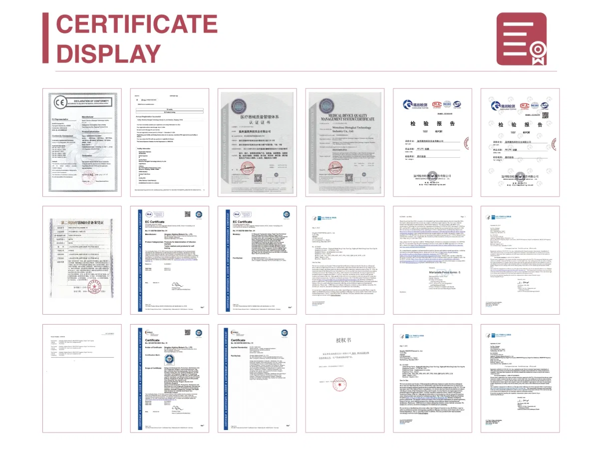 Processo de Envio