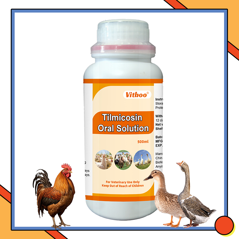 Suplemento vitamínico líquido para engorda de aves, solução oral, estimulador de crescimento para frangos