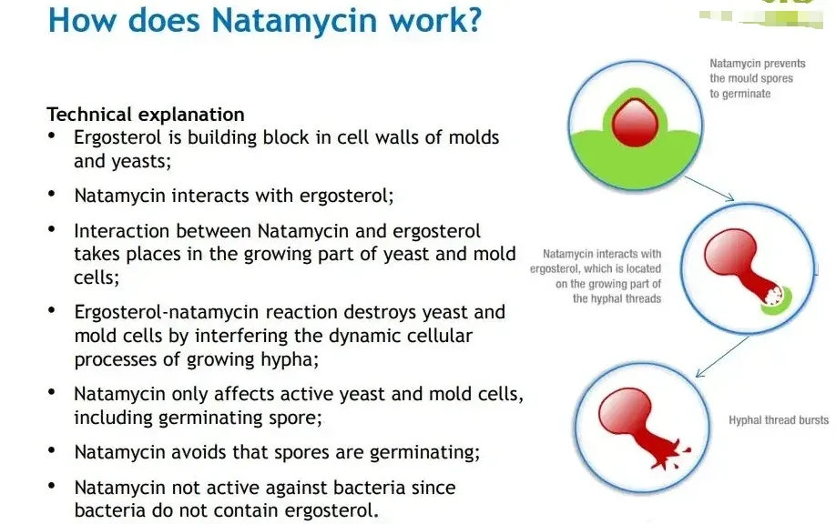 Detalhes Natamicina
