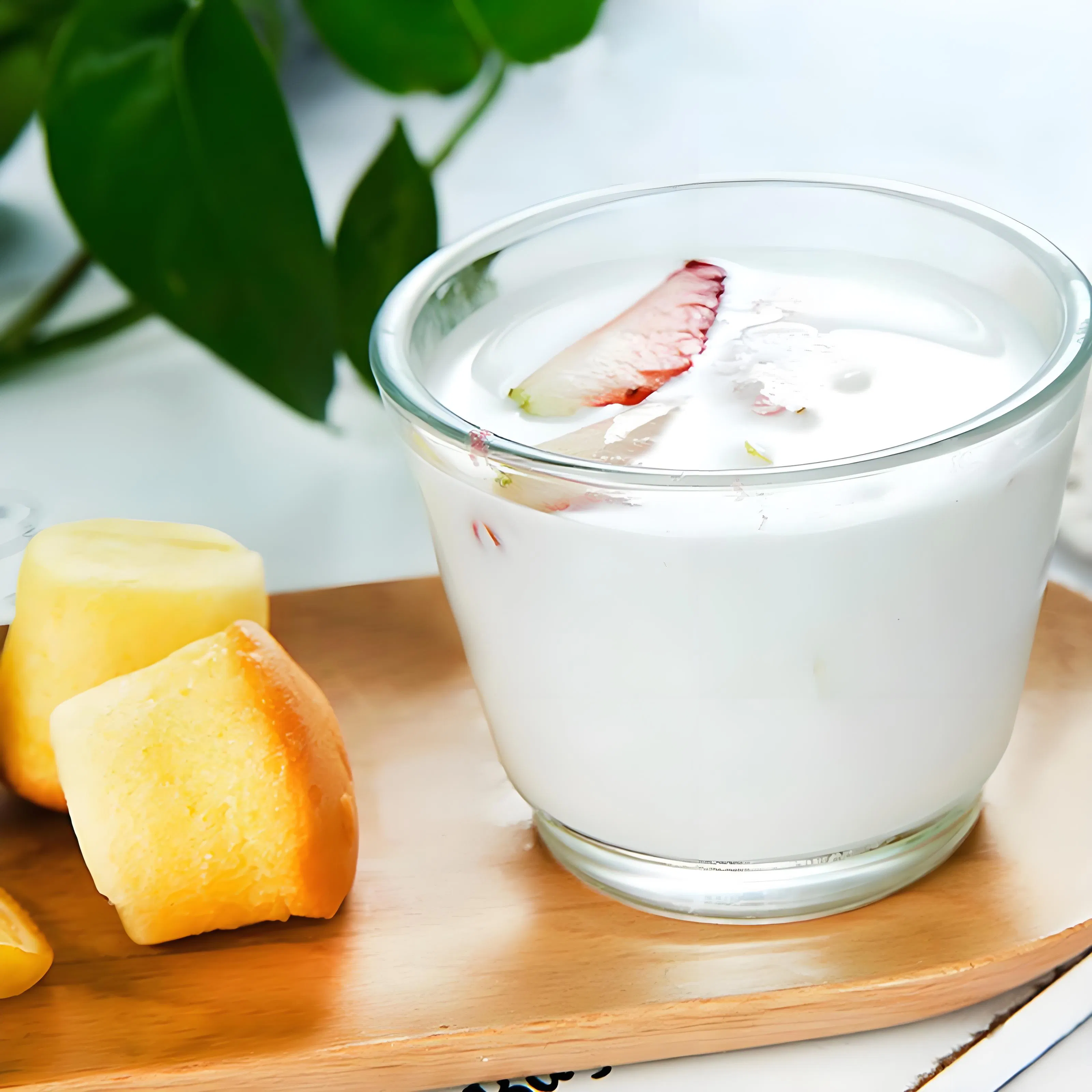Conservante Natamicina de Grau Alimentício Natural para Produção de Iogurte Lácteo