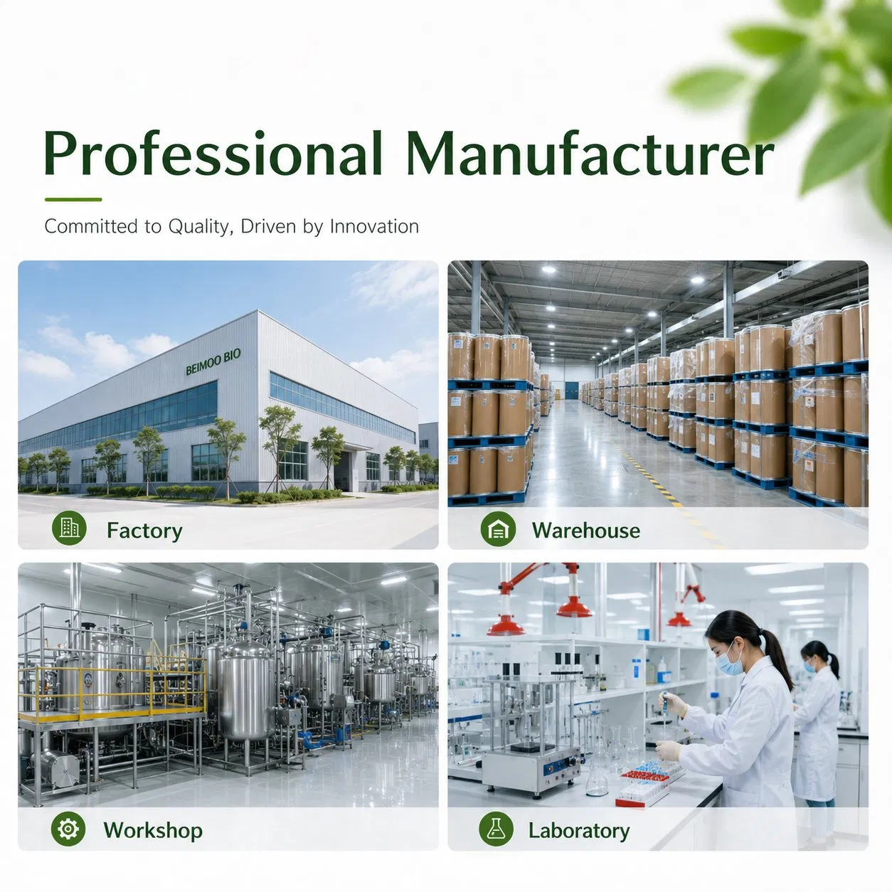 Fabricante Fornecimento Enzimático Reb D Glicosídeo de Estéviol CAS 63279-13-0 Adoçante de Alta Intensidade para Rotulagem Privada Formulação de Alimentos Sem Açúcar
