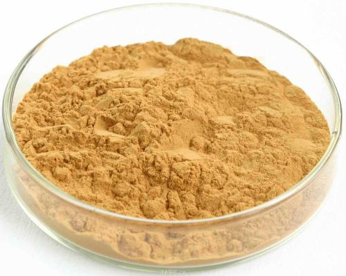 Pó de Extrato de Folha de Ginkgo Biloba para Extrato Herbal de Planta Nutracêutica