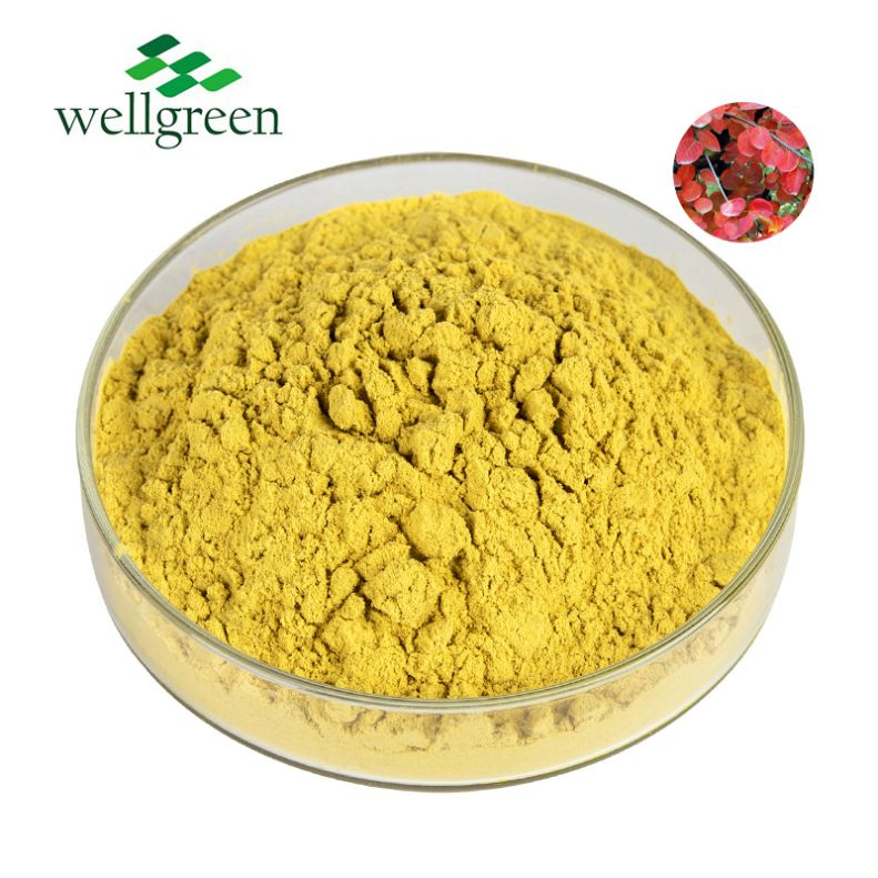 Essência Natural Concentrado Herbal Extrato Botânico Extrato de Planta