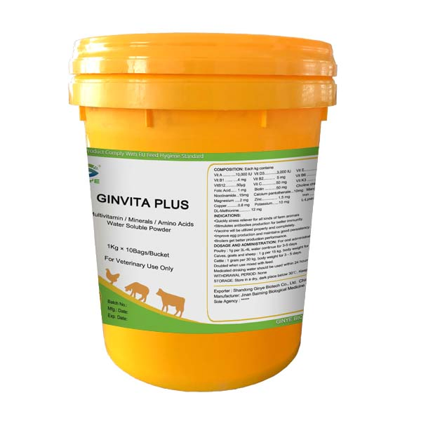Suplemento Veterinário Potencializador Imunológico para Aves de Capoeira