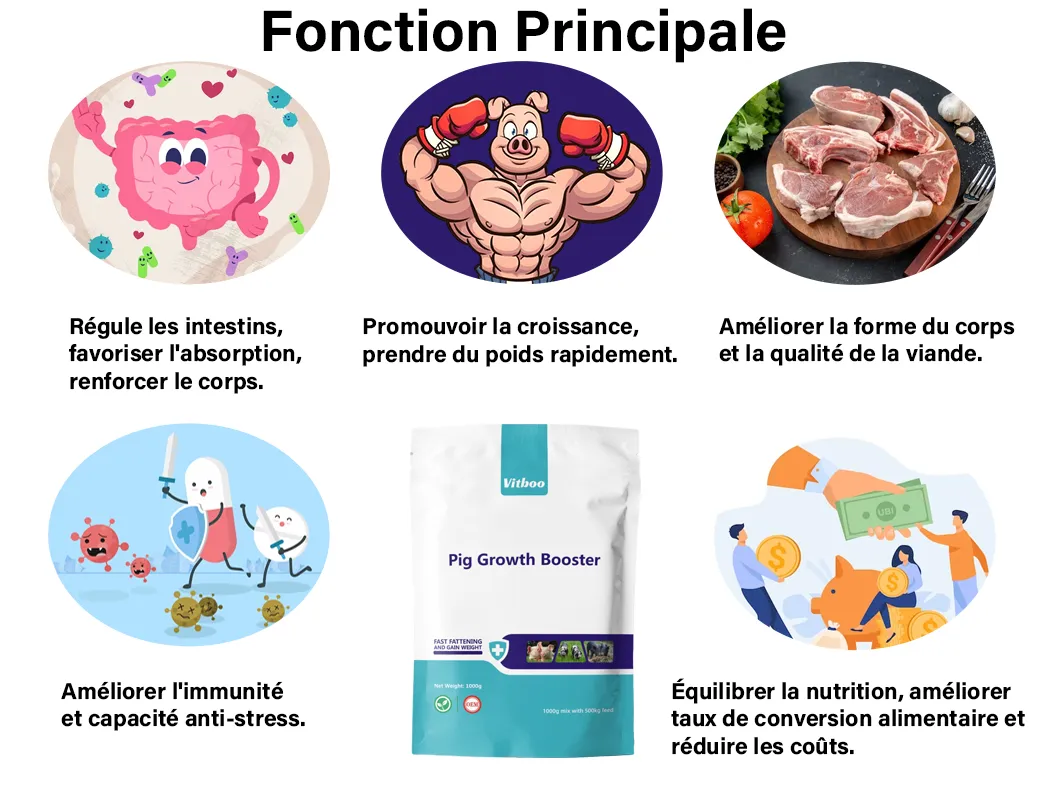 Processo de Produção
