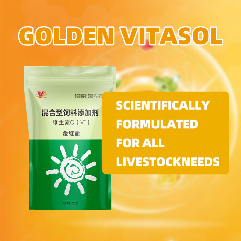 Suplemento vitamínico completo para ração de aves, aditivos para aumentar a imunidade e a produtividade