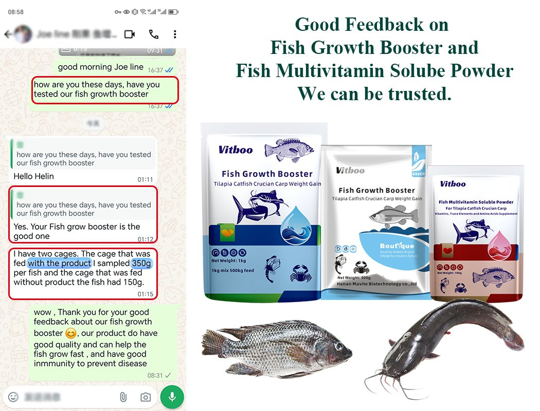 Aditivo Alimentar para Peixes Acelerador de Crescimento Ganho de Peso Alimento Vitboo Ração Animal