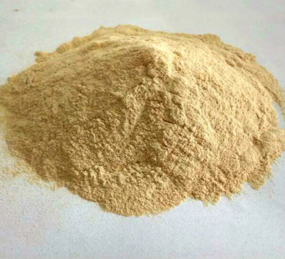 Goma Xantana CAS 11138-66-2