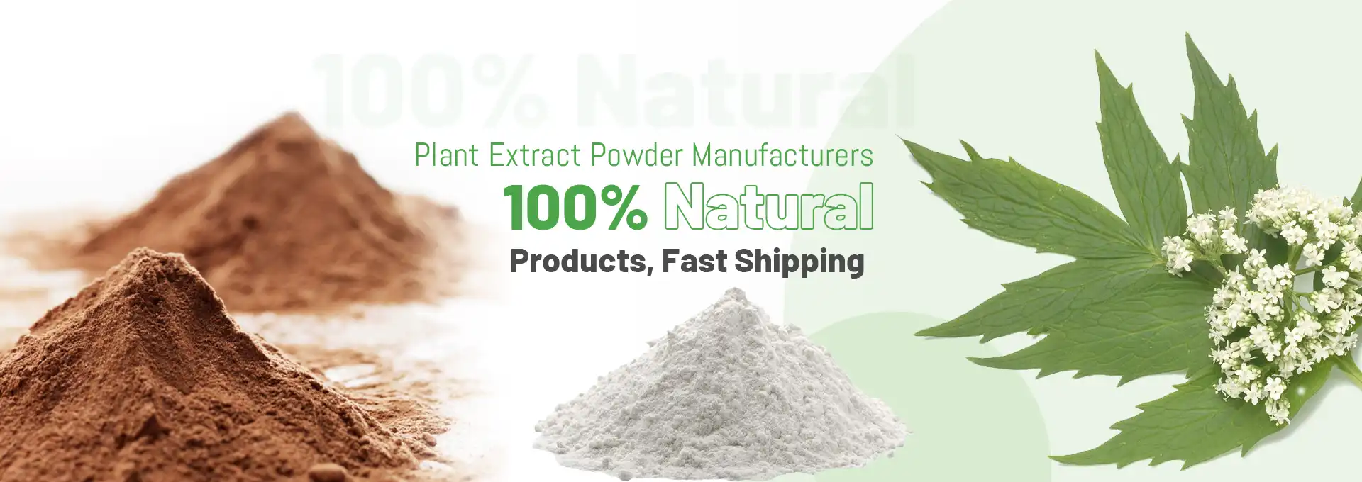 Shanghai JMP Biology - Instalações de Produção de Extratos Vegetais