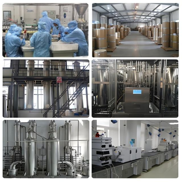 Espessante estabilizador de gellan gum de baixa/alta acil para a indústria alimentícia