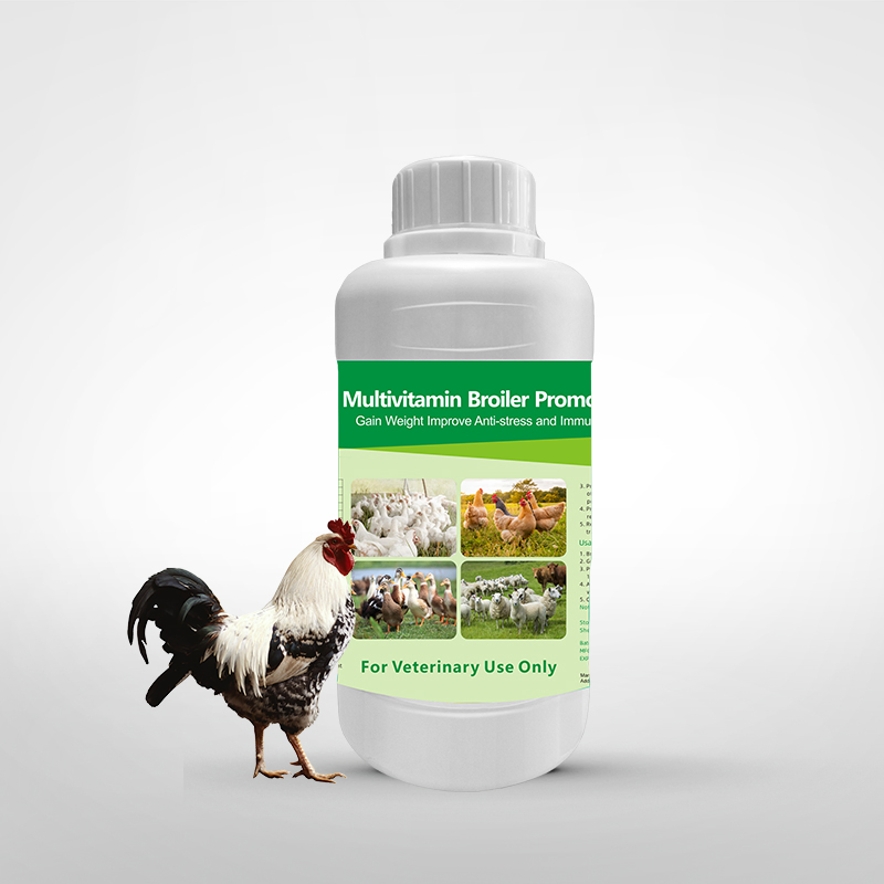 Suplemento vitamínico líquido para engorda de aves, solução oral, estimulador de crescimento para frangos