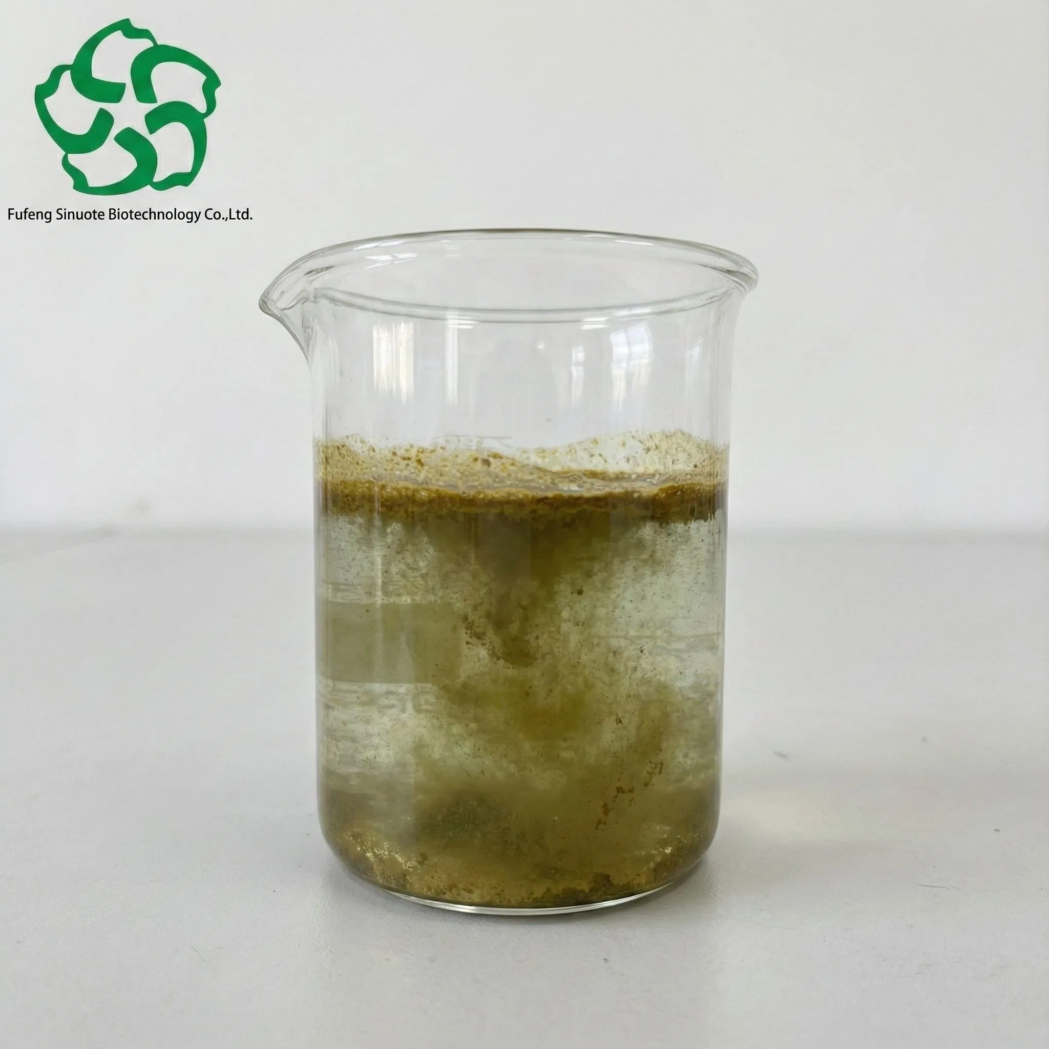 Extrato em Pó de Folha de Oliveira Olea Europaea L. (Padronizado para 20%-40% Oleuropeína / Hidroxitirosol) Padrão cGMP