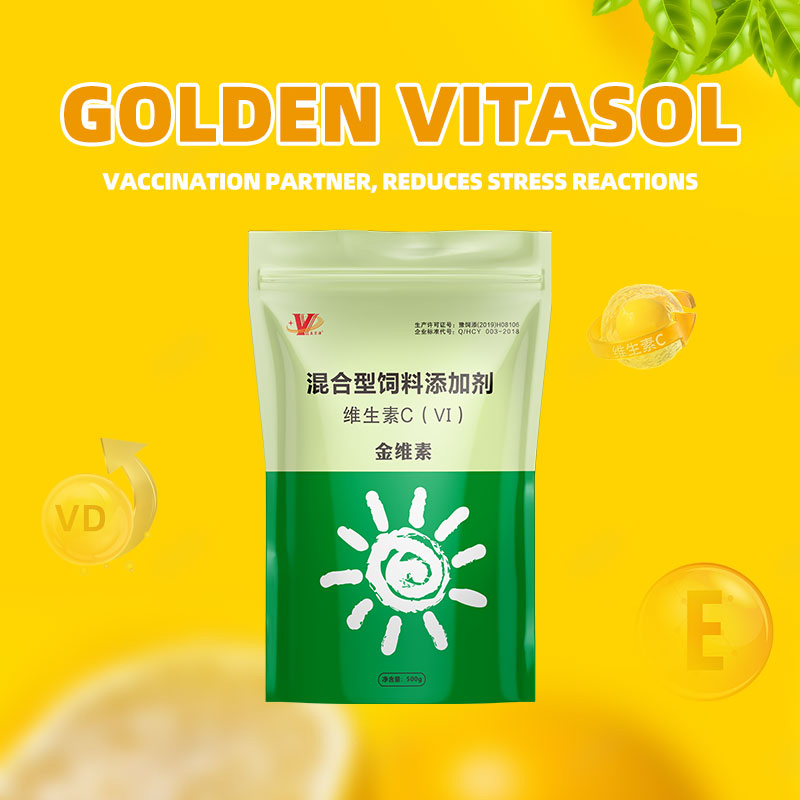 Suplemento vitamínico completo para ração de aves, aditivos para aumentar a imunidade e a produtividade