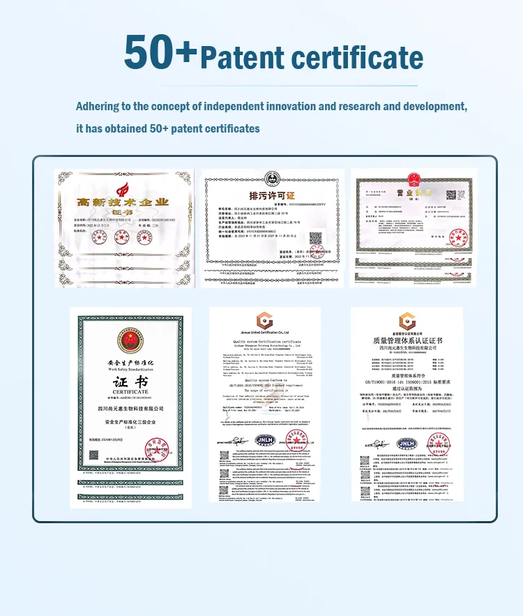 Certificação