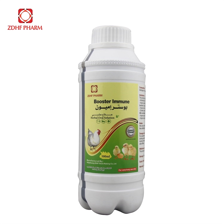 Impulsor Herbal Imunológico para Uso em Criação de Aves