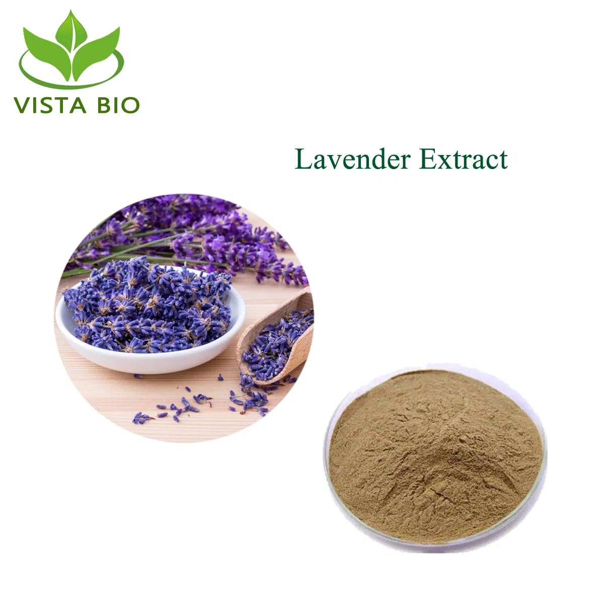 Extrato de Lavanda Pura Natural de Alta Qualidade da Planta Lavandula Angustifolia 4: 1-20: 1