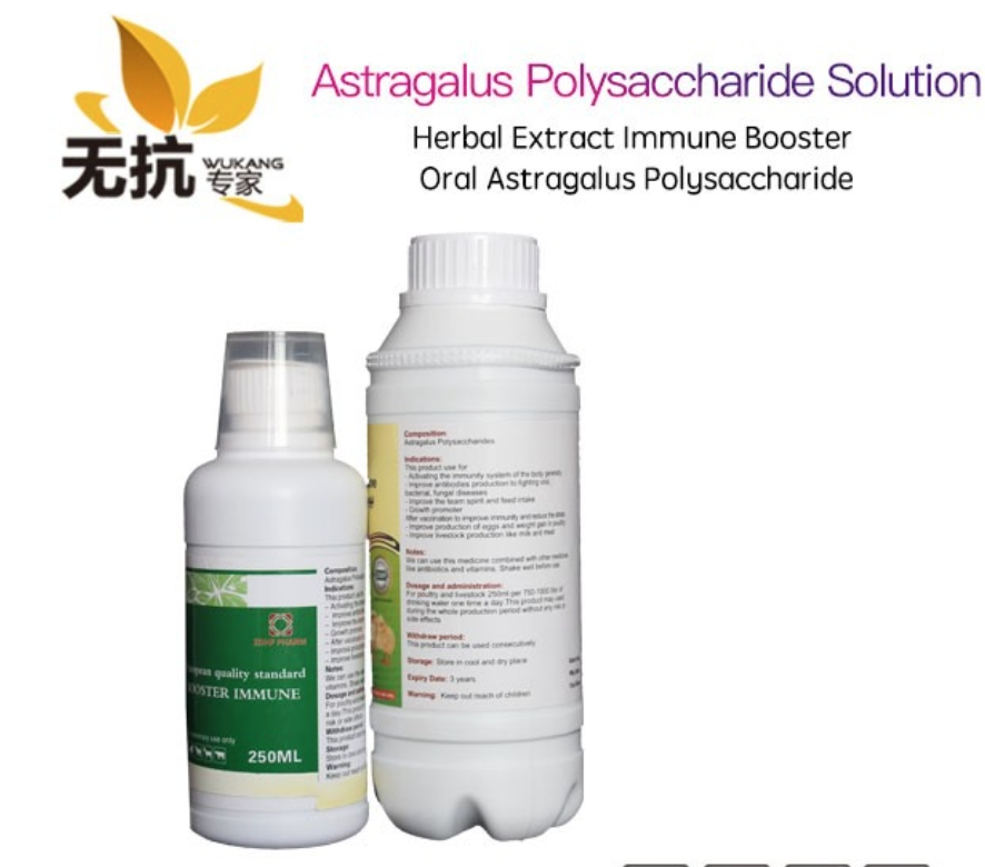 Acelerador de Crescimento de Aves / Melhorador de Produção de Ovos de Aves / Impulsor Herbal Imunológico